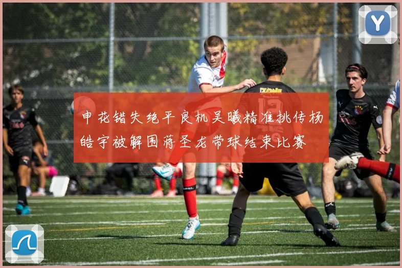 申花错失绝平良机吴曦精准挑传杨皓宇被解围蒋圣龙带球结束比赛