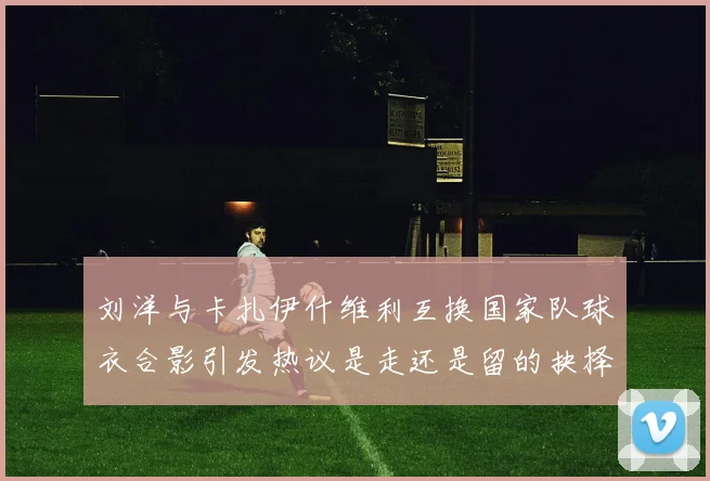 刘洋与卡扎伊什维利互换国家队球衣合影引发热议是走还是留的抉择时刻