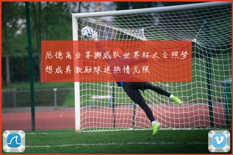 厄德高分享挪威队世界杯大合照梦想成真激励球迷热情无限