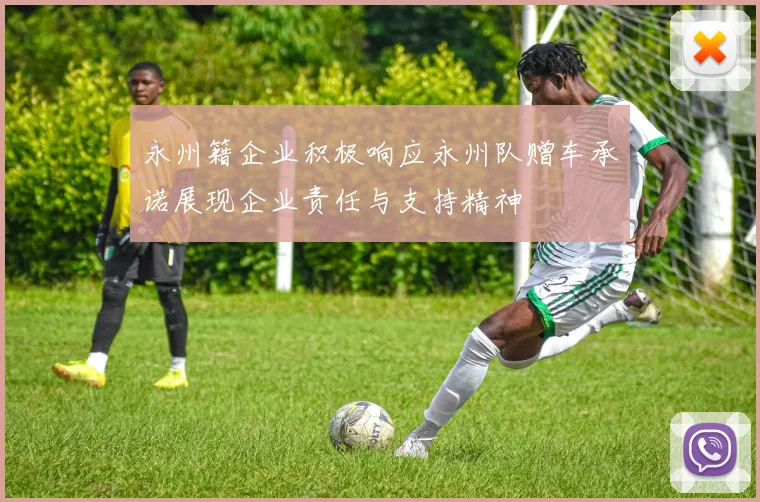 永州籍企业积极响应永州队赠车承诺展现企业责任与支持精神