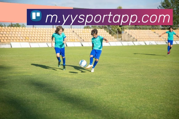 易游体育服务体系