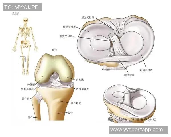 加比亚左膝过度伸展受伤情况更新已排除韧带和半月板损伤风险